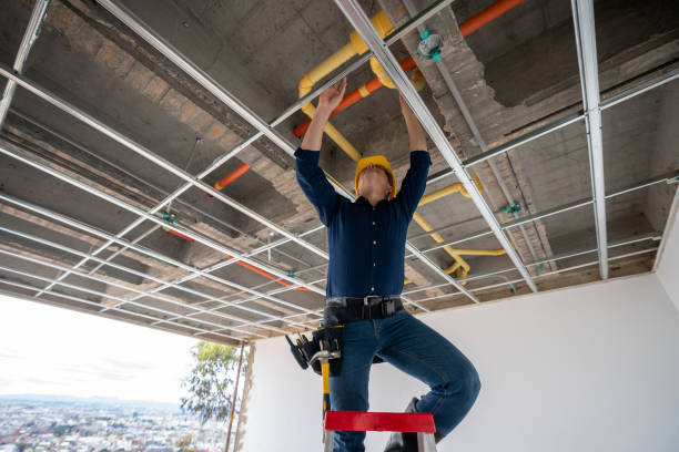 Best Commercial Plumbing Services  in Mcnary, AZ