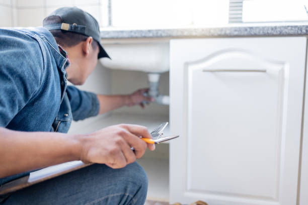 Best Septic Systems  in Mcnary, AZ
