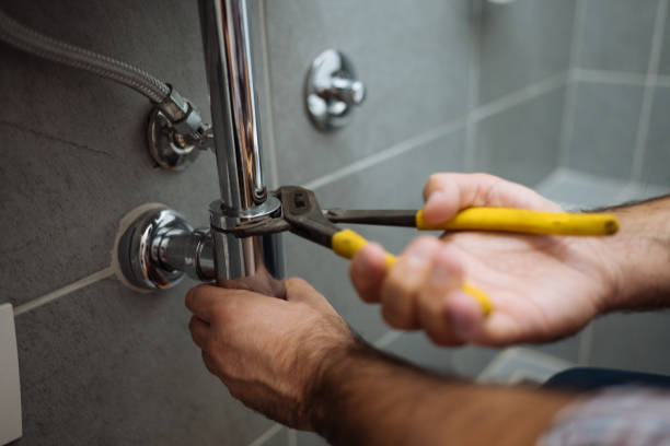 Best Emergency Plumber  in Mcnary, AZ