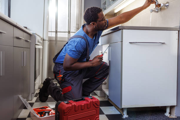 Best Water Softener Installation  in Mcnary, AZ